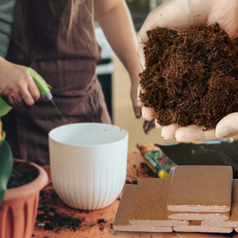 Fibra de Coco Orgánica para un Crecimiento Saludable de Plantas